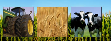 Farm Job Search